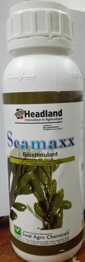 headland-seamaxx